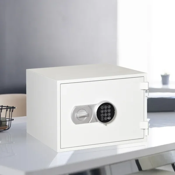 Caja Fuerte Cartago - Serie Grado i (BTV-SERIE-GRADO I-HOMOLOGADA)