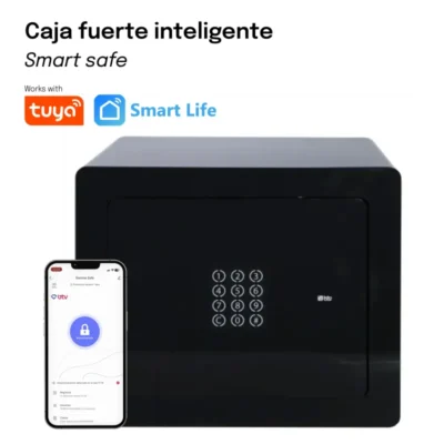 Caja Fuerte - Serie Mini (BTV-SERIE-MINI)