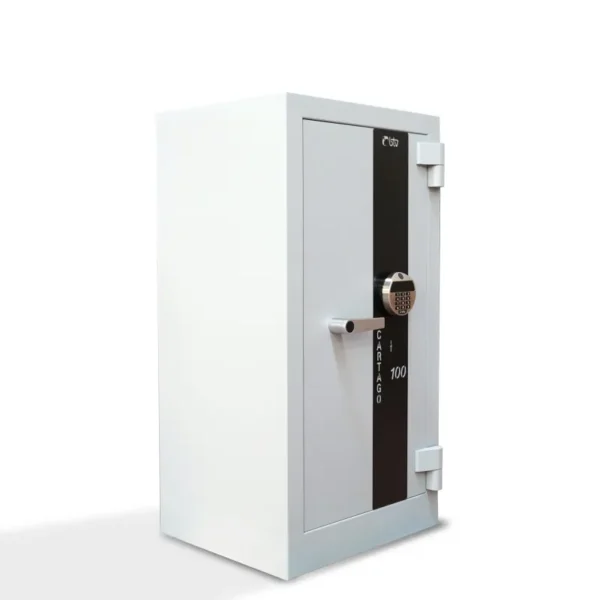 Caja Fuerte Cartago - Serie Grado i (BTV-SERIE-GRADO I-HOMOLOGADA)